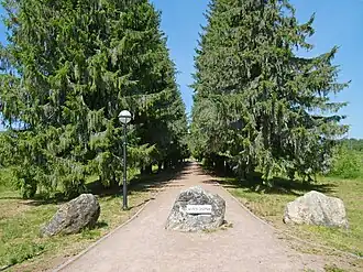 Еловая Аллея скорби, заложенная в 1960-х годах. Фото 2023 года