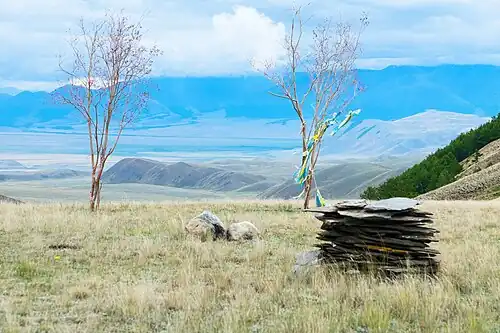 Ленточки дьалама привязаны к воткнутым в землю стволам деревьев. Кош-Агачский район