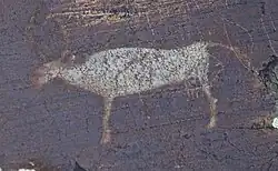 Солнечный бык