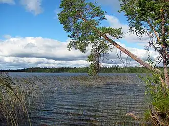 Вид с восточного берега озера Емгозеро
