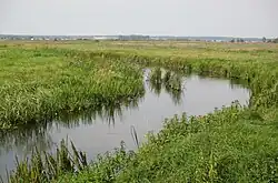 Нижнее течение Жижмы около агрогородка Дворище в сентябре 2021 года