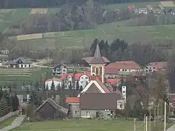 Вид Закшува