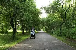 Захарковский сад