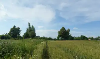 Деревня Бородухино