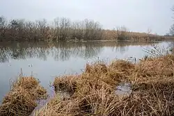 река в селе Золотинка