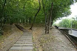 Пешеходная дорожка к метро через парк