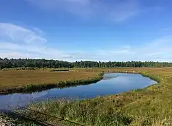 Вид по течению