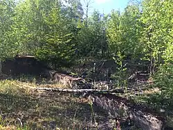 Фундамент бывшего финского вокзала.