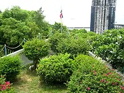 Импровизированный нос корабля