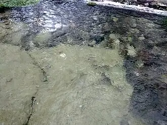 Один из «колодцев» с источником