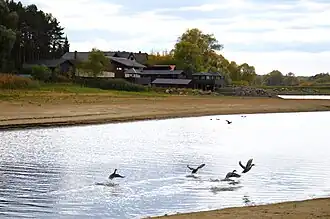 Левый берег протоки Подувалье около устья