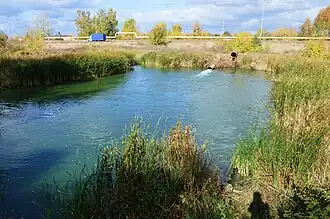 Начало протоки Подувалье: здесь начинается дренажный канал