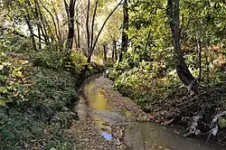 Безымянный ручей протекает через посёлок Первомайский от Танкового кольца до озера Средний Кабан (октябрь 2020)