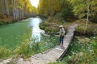 Протока Подувалье: дренажный канал