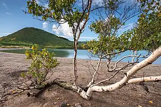 Берег озера Горячее