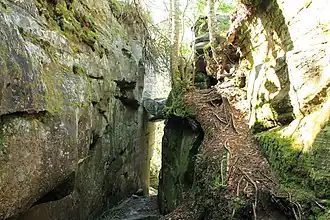 Скала Черепаха