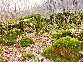 Каменный хаос на северном склоне горы Стрижамент