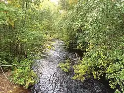 Вид по течению