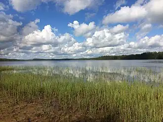 Юго-восточная оконечность озера