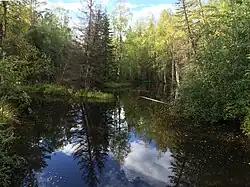 Вид против течения