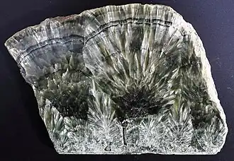 Клинохлор в разрезе