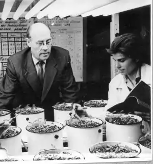 Козлов и лаборант М.&nbsp;Кольцова наблюдают за опытными растениями.