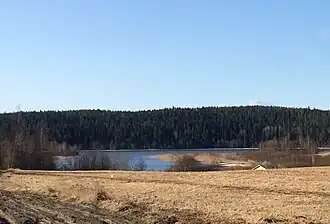 Вид на озеро весной 2020 года