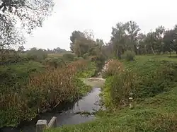 река возле села Великая Старица