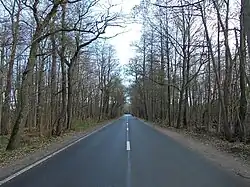 Кронштадтское шоссе в западной части Котлина