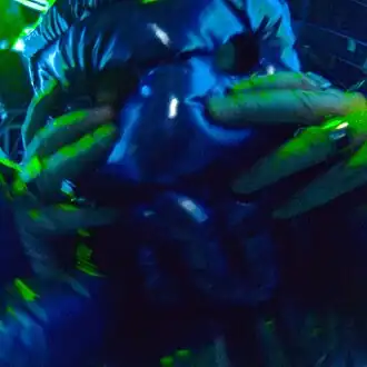 Обложка сингла Oxxxymiron «Кто убил Марка?» (2021)