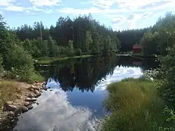 Вид по течению