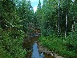 Река Кузьма