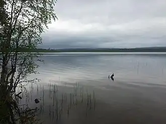 Вид от дороги 86К-165