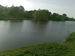 Куколка у села Шаповаловка