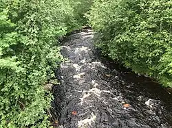 Вид по течению