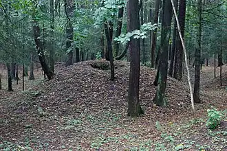 Курган в одинцовском лесопарке, 2015 год