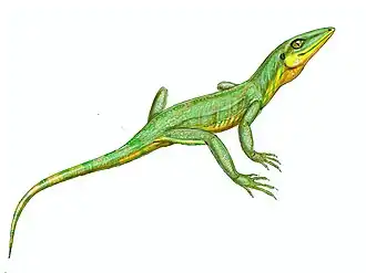 Реконструкция прижизненного облика лантанолании