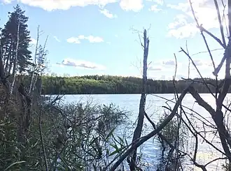 Вид с северного берега