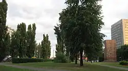 Лыбедская площадь в Киеве