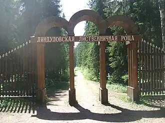 Вход в рощу