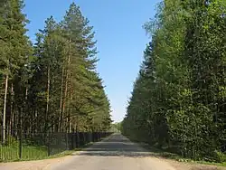 Новая дорога, вид в сторону Сойкинской дороги. Слева — благоустроенная часть парка, справа — дикая часть