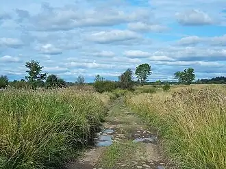 Дорога в деревне. 2017 год