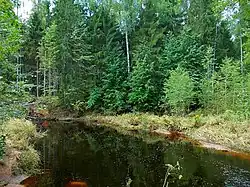 Река Лутинка