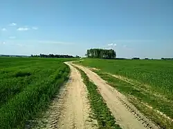 По пути в деревню