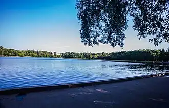 Большой Головинский пруд, 2015 год