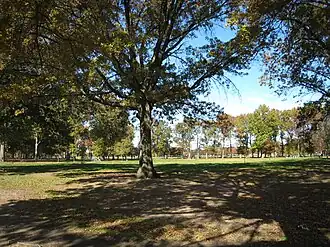 Марин Парк осенью