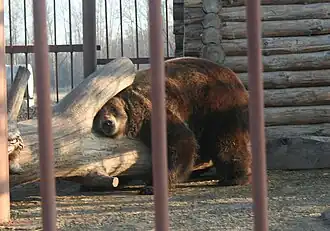 Старооскольский зоопарк