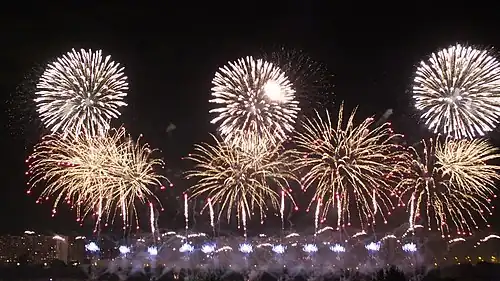 Международный фестиваль фейерверков в Москве, район Братеево, выступление команды Румынии 19 августа 2017 года