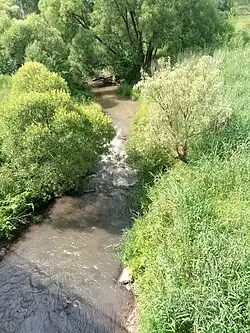 Мизгея у трассы Белёв&nbsp;— Тула