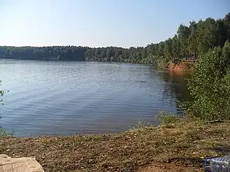 Северо-восточный берег Можайского водохранилища летом 2010 года